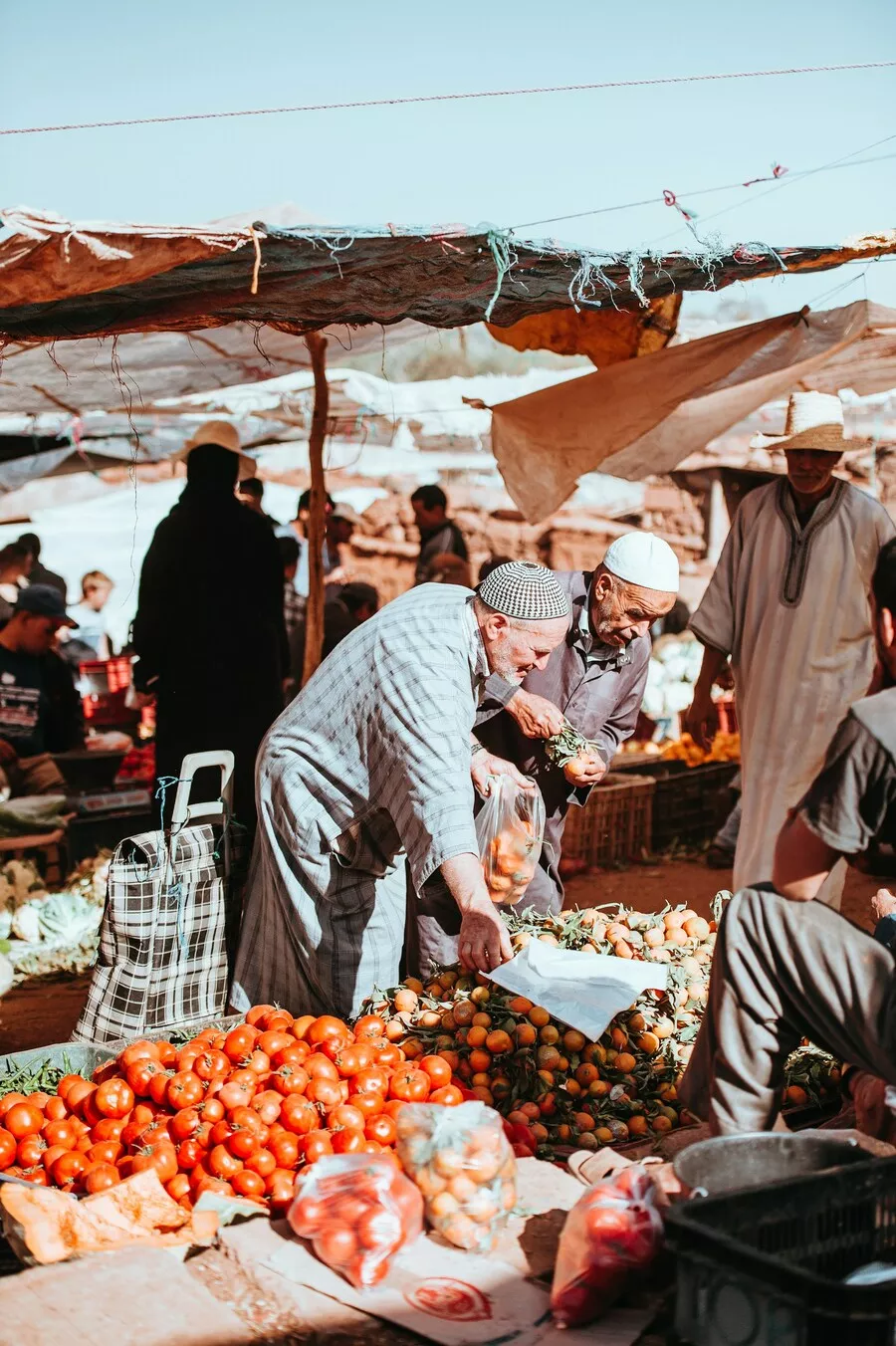تكريم الفنانين في مهرجان السينما الدولي: إبداعات محلية على الساحة العالمية